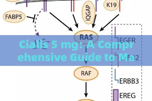 Cialis 5 mg: A Comprehensive Guide to Male Enhancement