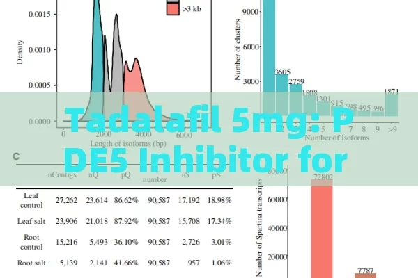 Tadalafil 5mg: PDE5 Inhibitor for Male ED by Boosting Blood Flow