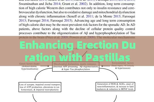 Enhancing Erection Duration with Pastillas